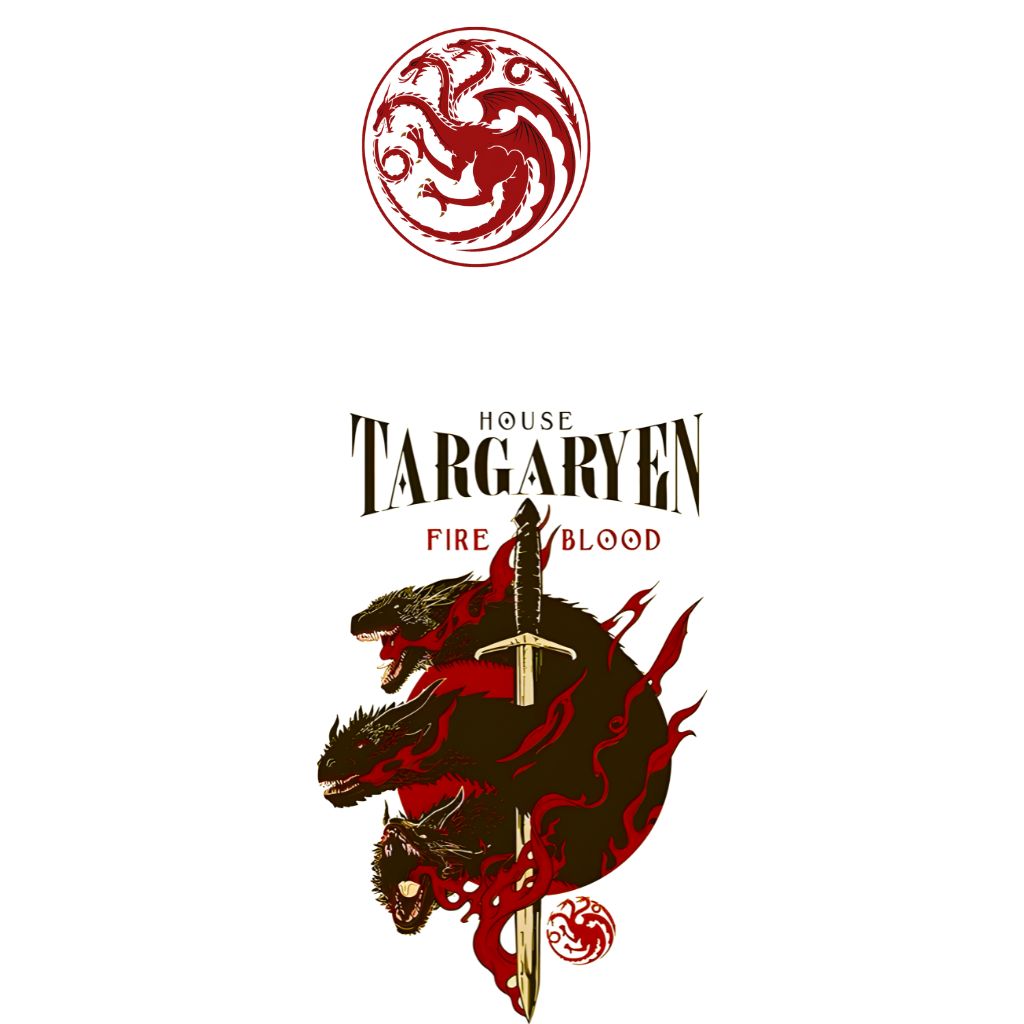 House of the Dragons (1) Web Series - House of the Dragons oversized t shirt