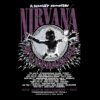 Nirvana Nevermind Nirvana Never Mind coustom t shirt
