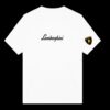 Lamborghini (1)